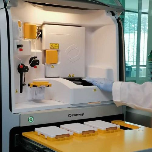 B5C95722-F4A3-454C-B17D-A61A7A7A1170-export (1)