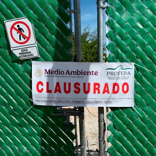 WhatsApp Image 2025-10-31 at 15.57.19 (1)