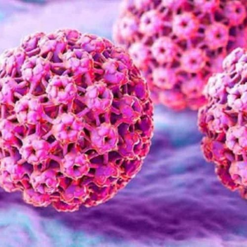 WhatsApp Image 2025-10-31 at 15.57.19