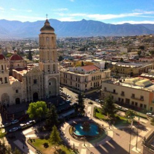 WhatsApp Image 2025-11-11 at 16.37.51