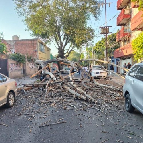 WhatsApp Image 2026-01-02 at 12.06.06