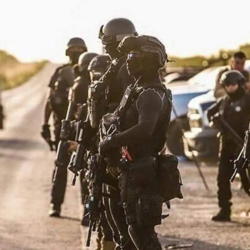 WhatsApp Image 2026-02-04 at 15.53.39