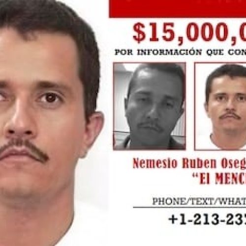 WhatsApp Image 2026-02-23 at 11.41.37