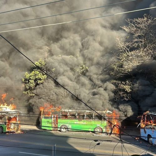 WhatsApp Image 2026-02-23 at 19.31.31