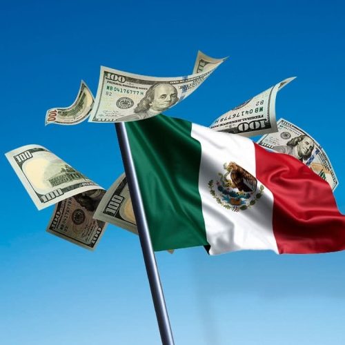 WhatsApp Image 2026-02-25 at 16.48.52