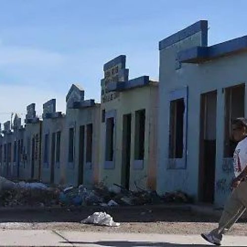 WhatsApp Image 2026-03-31 at 16.38.43