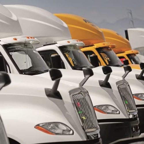 WhatsApp Image 2026-04-14 at 15.06.16 (1)