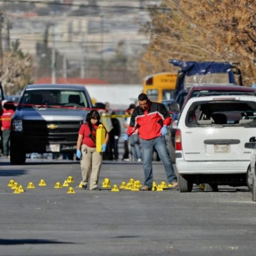 WhatsApp Image 2026-04-20 at 17.05.24