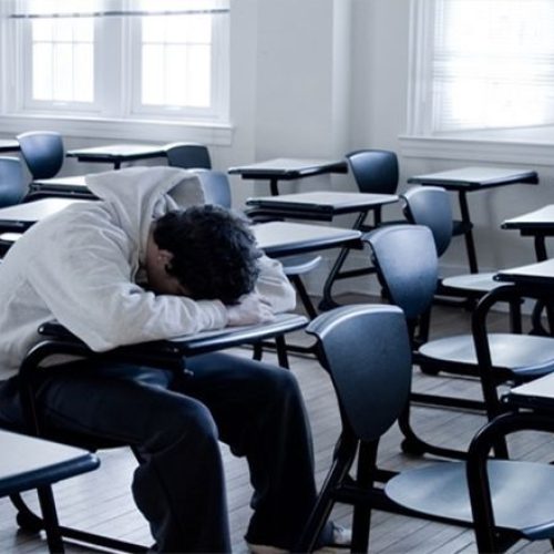 WhatsApp Image 2026-04-29 at 14.39.16 (1)